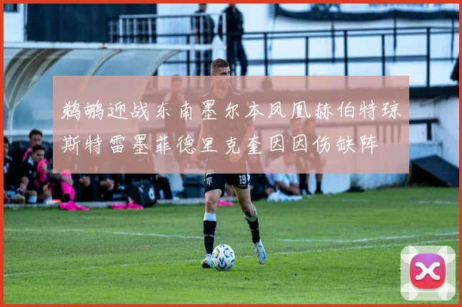 鹈鹕迎战东南墨尔本凤凰赫伯特琼斯特雷墨菲德里克奎因因伤缺阵