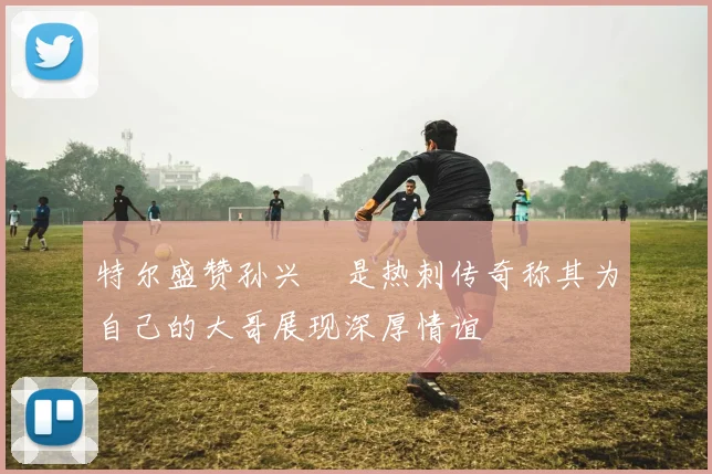 特尔盛赞孙兴慜是热刺传奇称其为自己的大哥展现深厚情谊